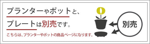 エコポット六角型200.|s8
